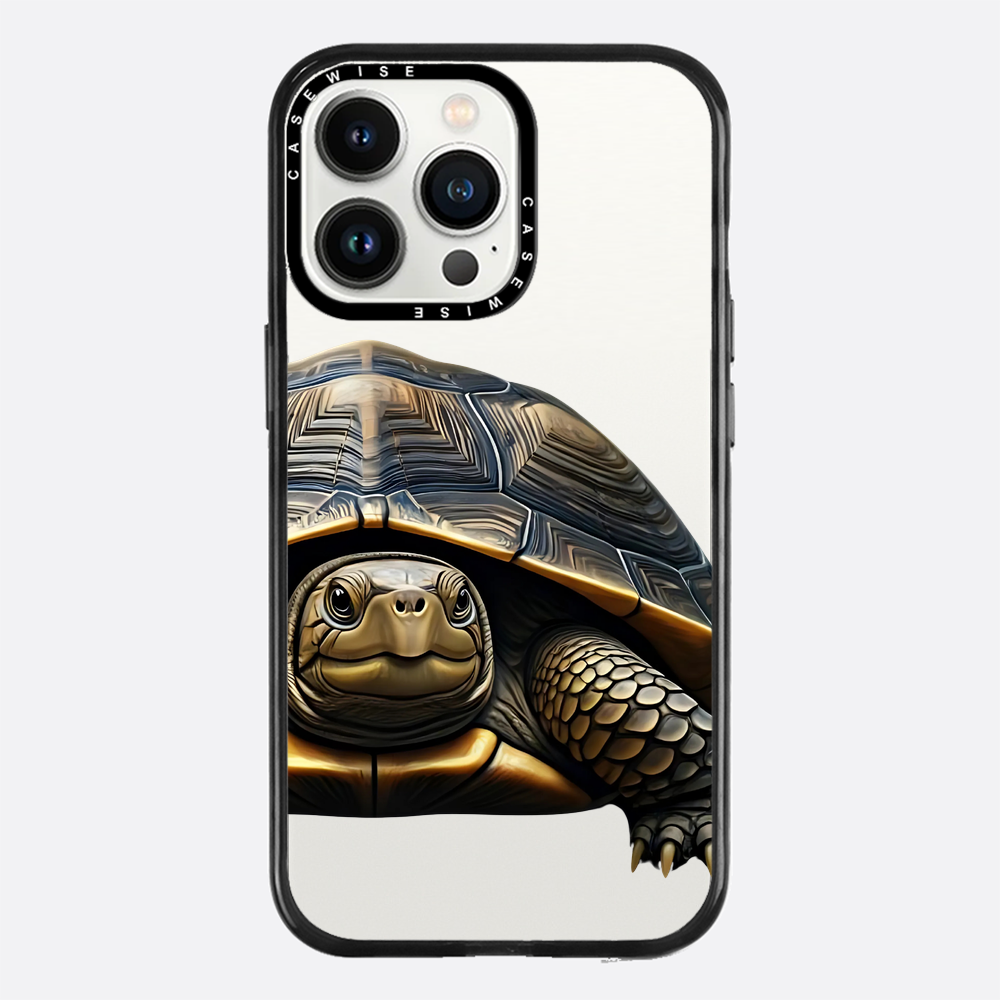 Schildkröte 2 - Hülle