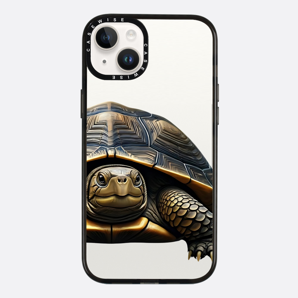 Schildkröte 2 - Hülle