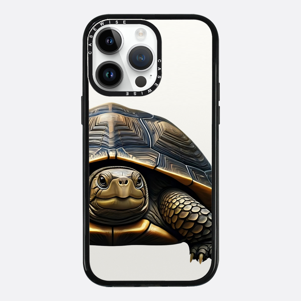 Schildkröte 2 - Hülle