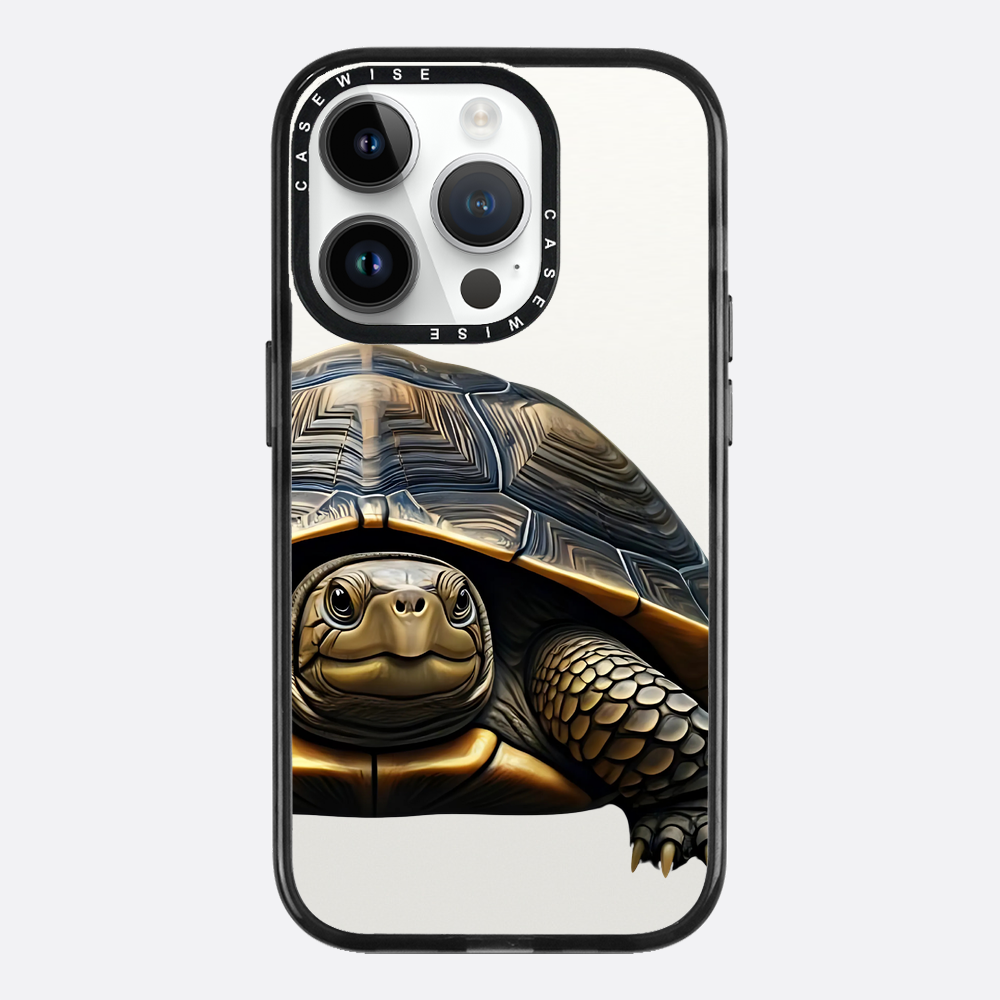 Schildkröte 2 - Hülle
