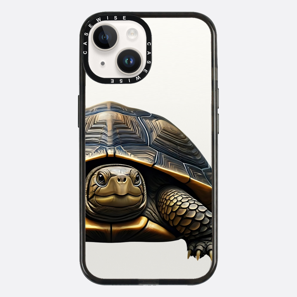 Schildkröte 2 - Hülle