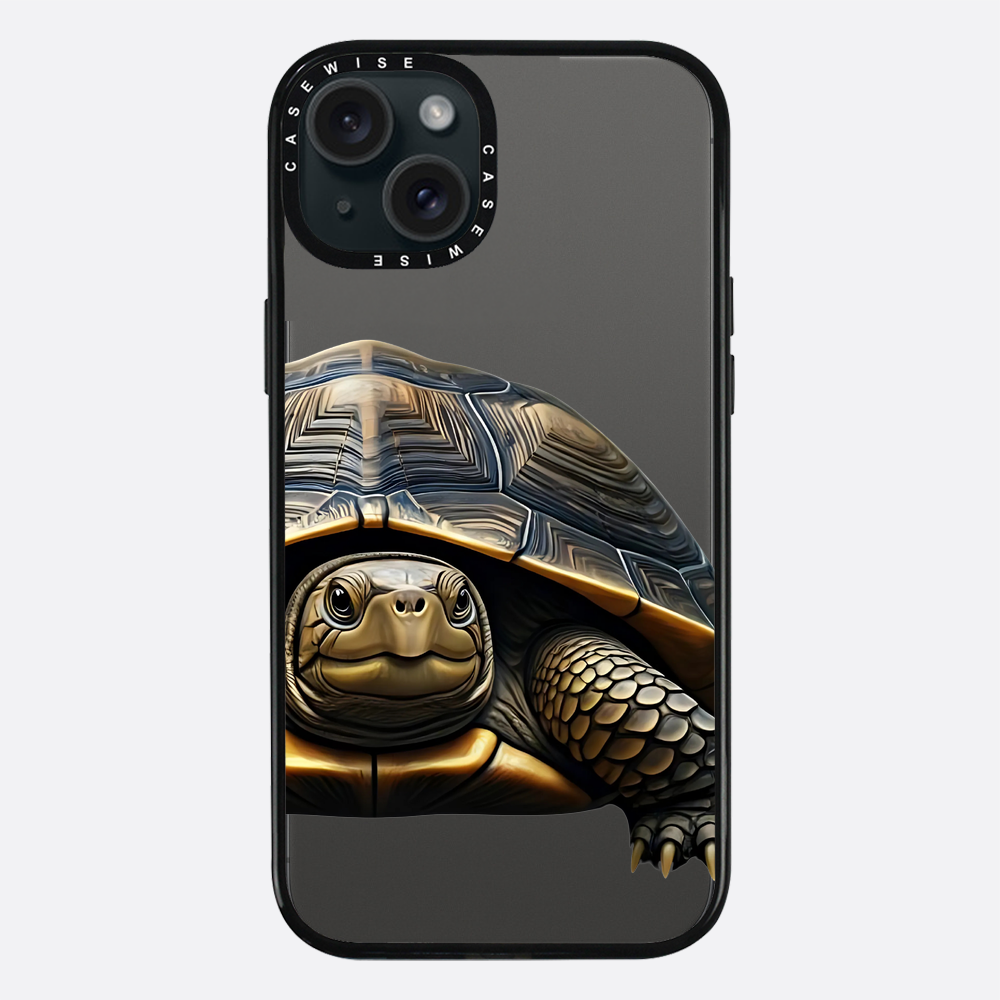 Schildkröte 2 - Hülle