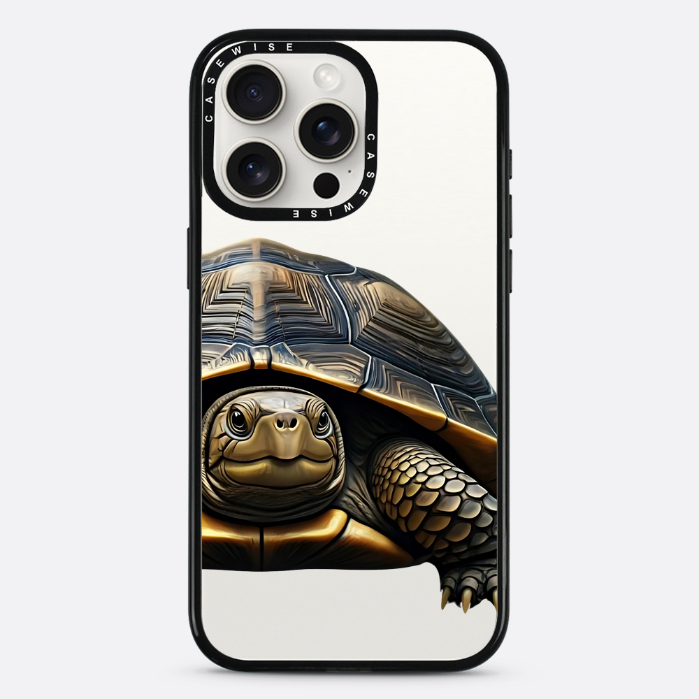 Schildkröte 2 - Hülle