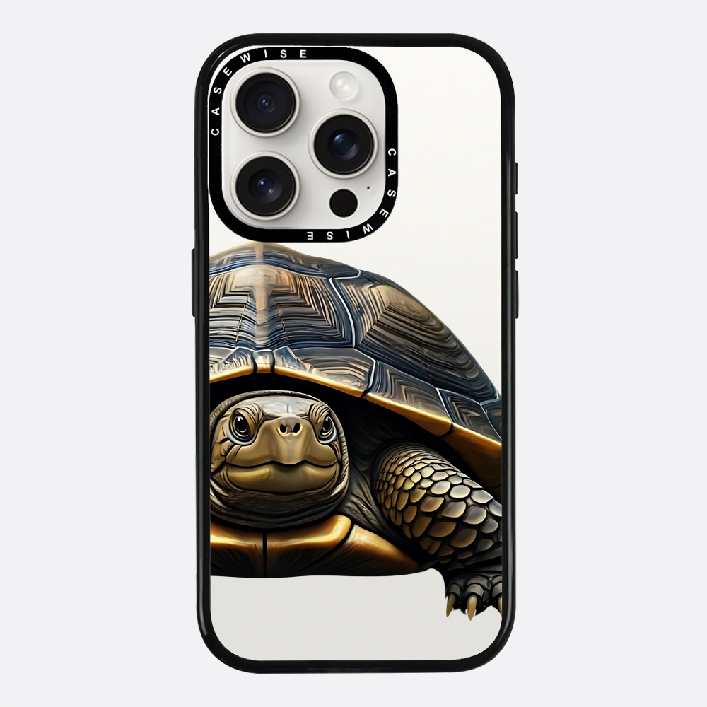 Schildkröte 2 - Hülle