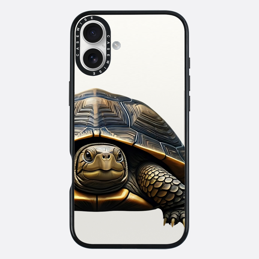 Schildkröte 2 - Hülle
