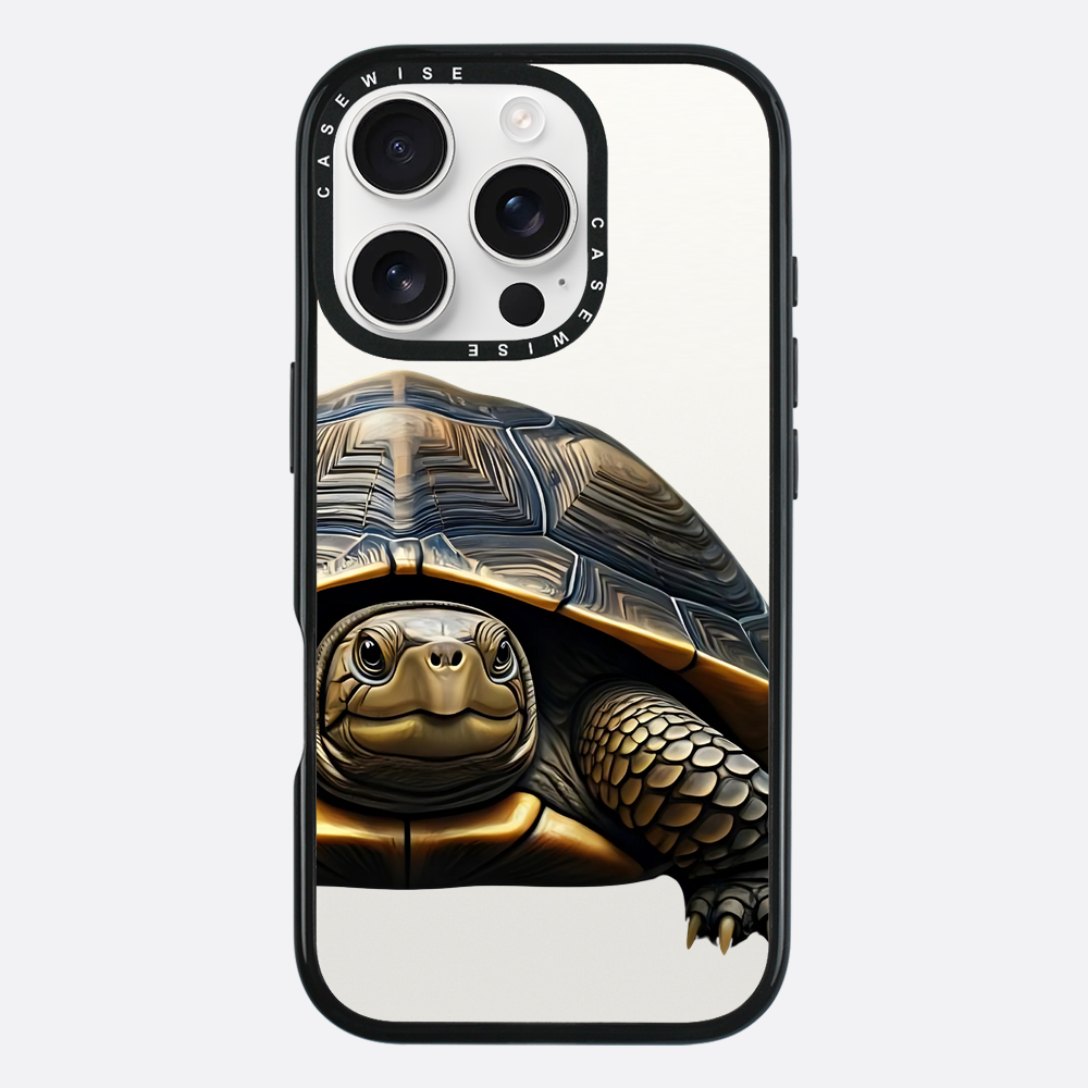 Schildkröte 2 - Hülle