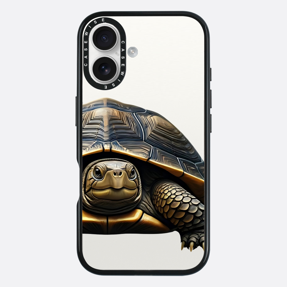 Schildkröte 2 - Hülle