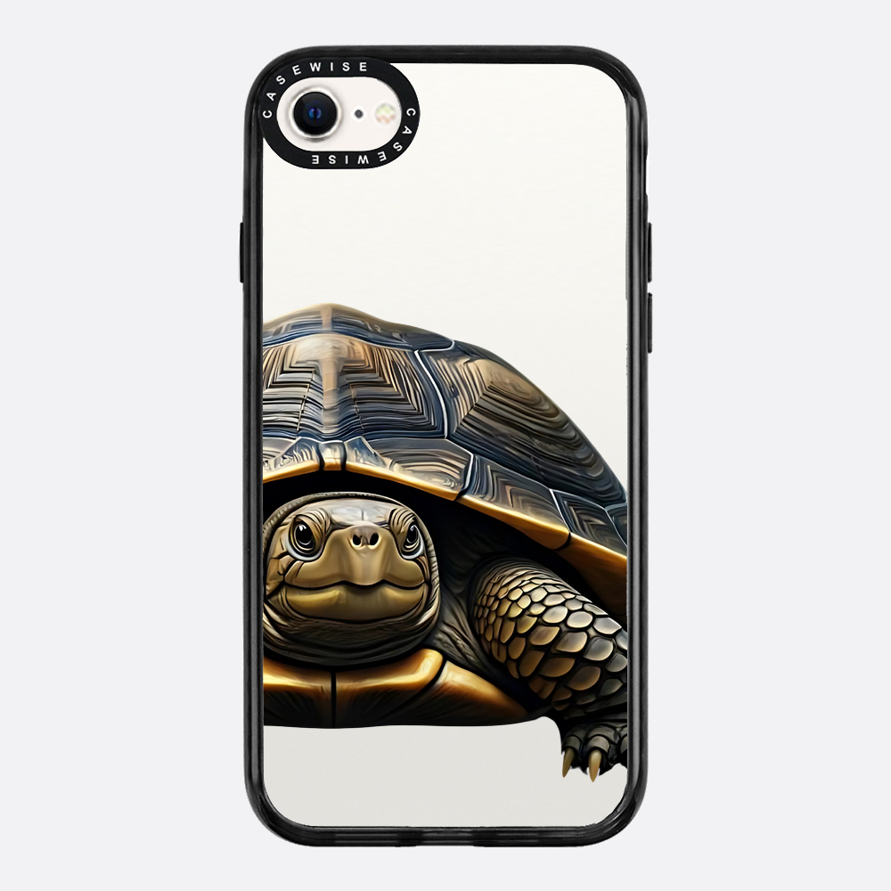 Schildkröte 2 - Hülle