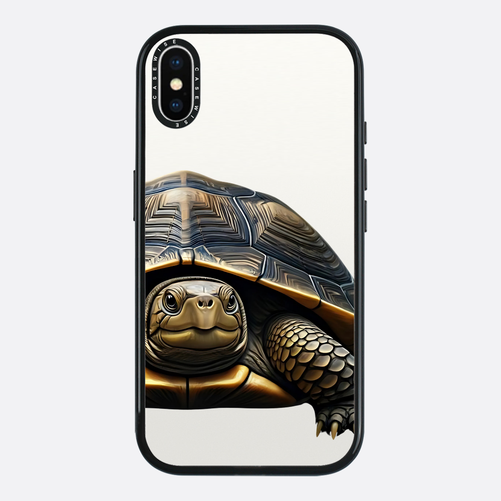 Schildkröte 2 - Hülle