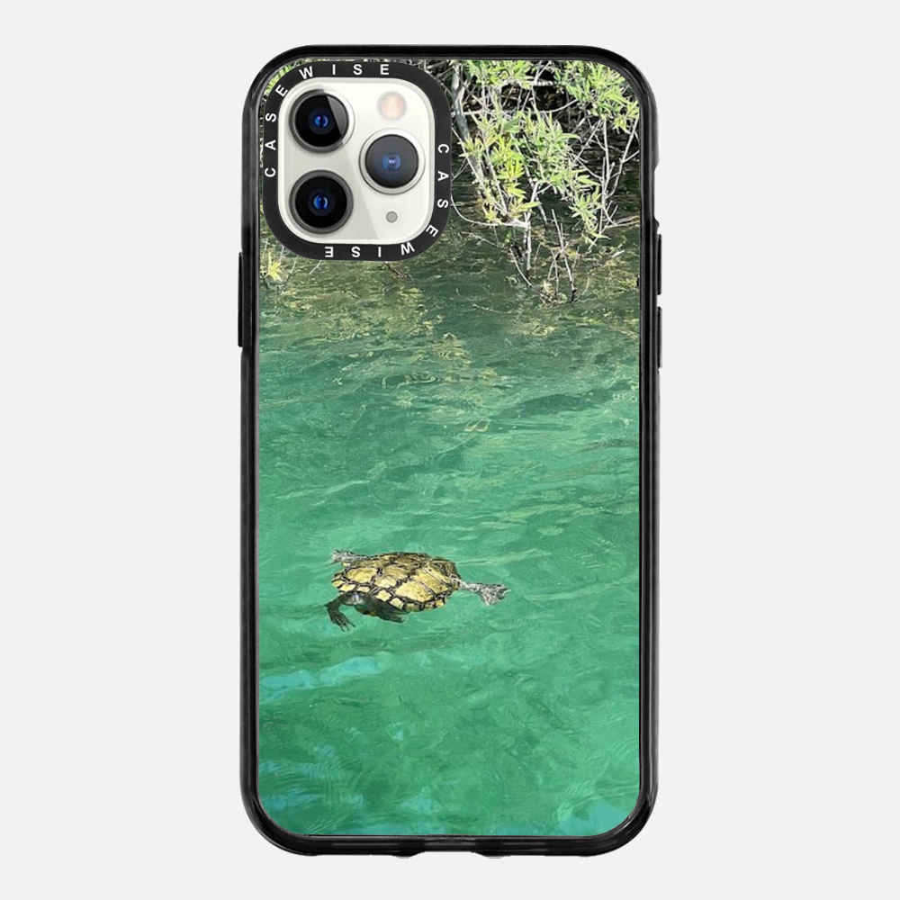 Gefrorene Blutschildkröte kournas - Hülle