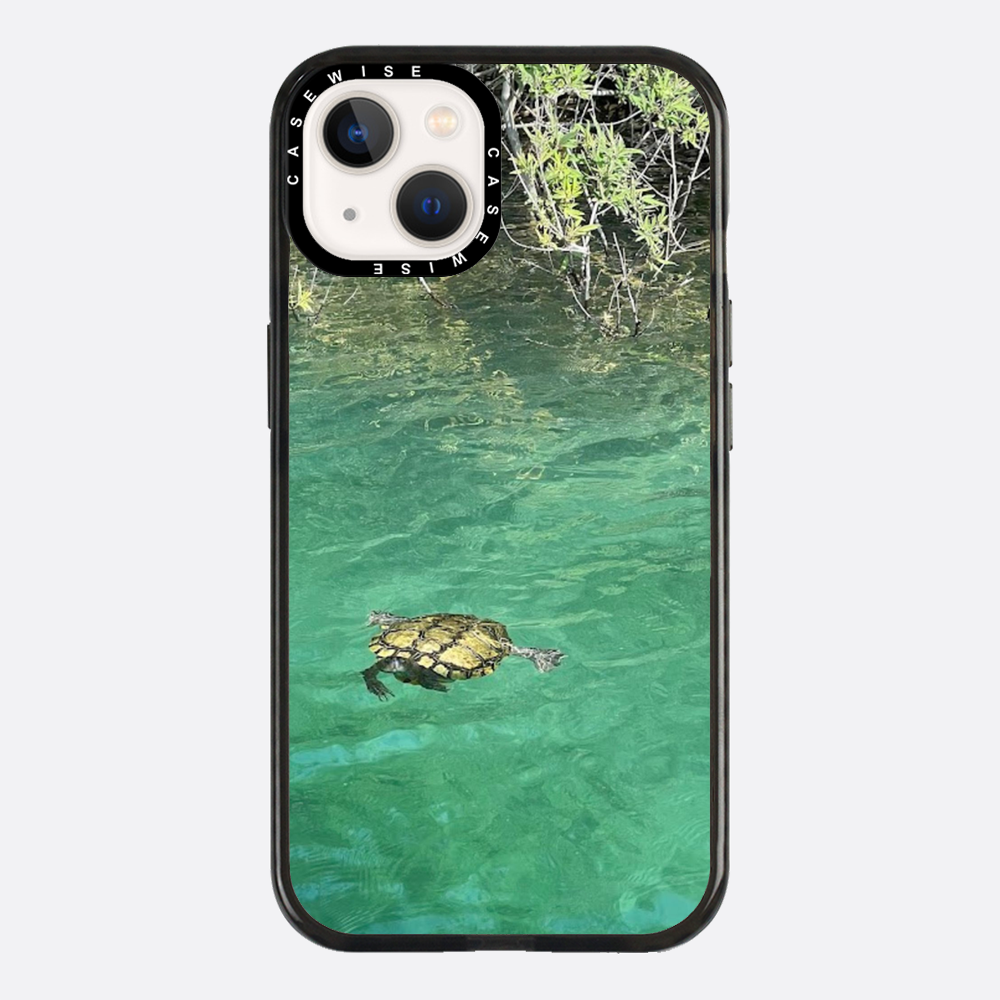 Gefrorene Blutschildkröte kournas - Hülle