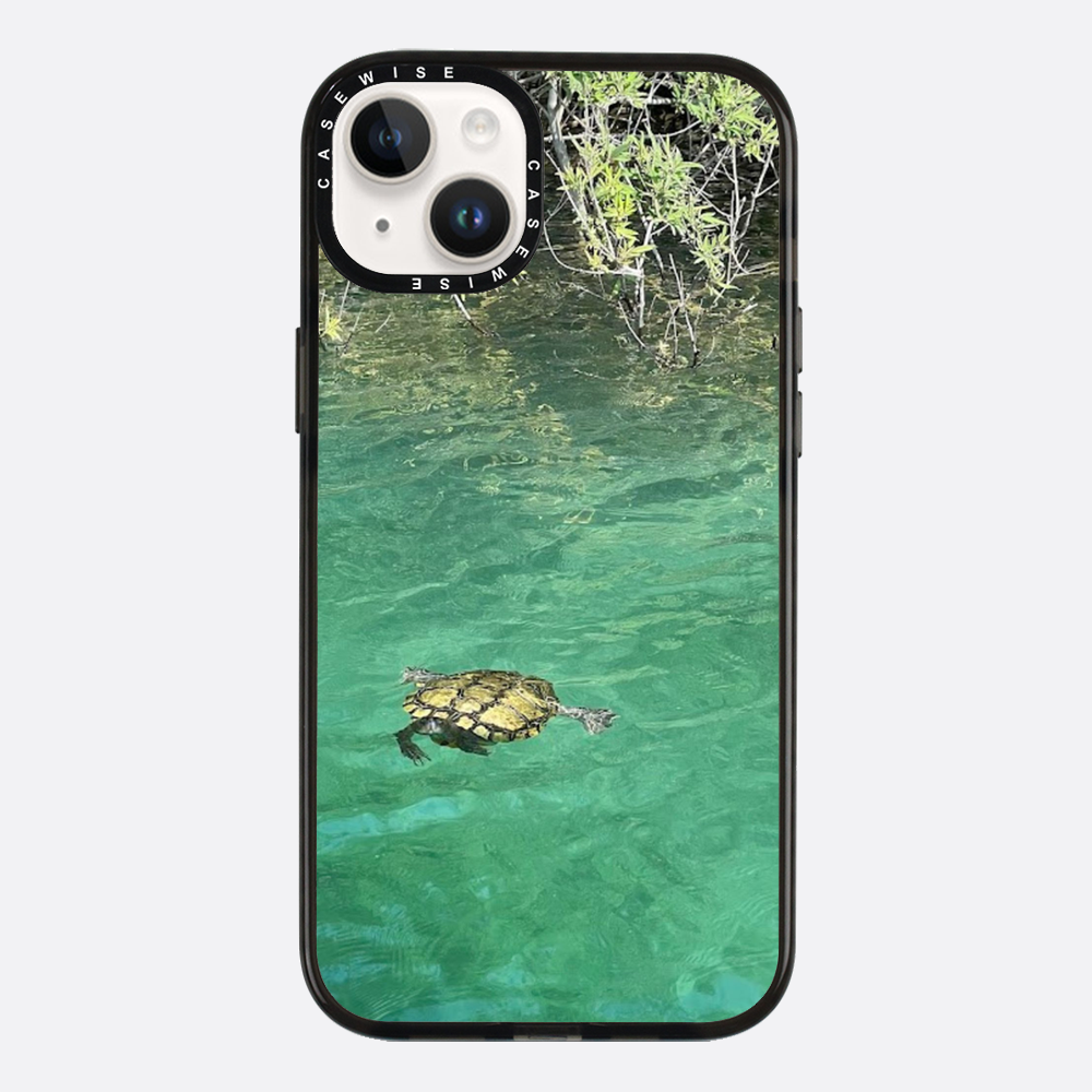Gefrorene Blutschildkröte kournas - Hülle