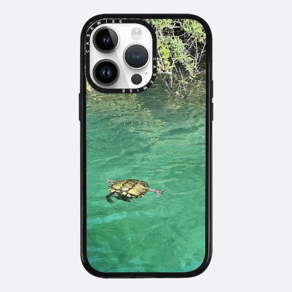 Gefrorene Blutschildkröte kournas - Hülle