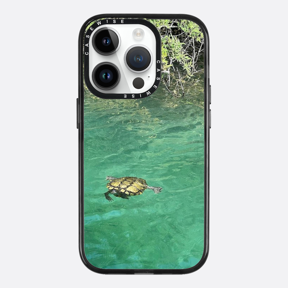 Gefrorene Blutschildkröte kournas - Hülle