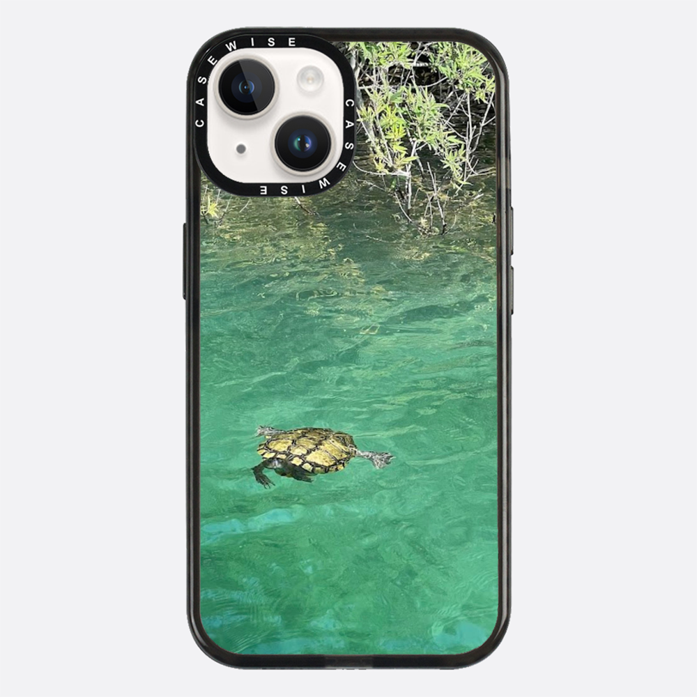 Gefrorene Blutschildkröte kournas - Hülle