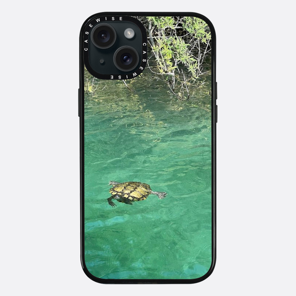 Gefrorene Blutschildkröte kournas - Hülle