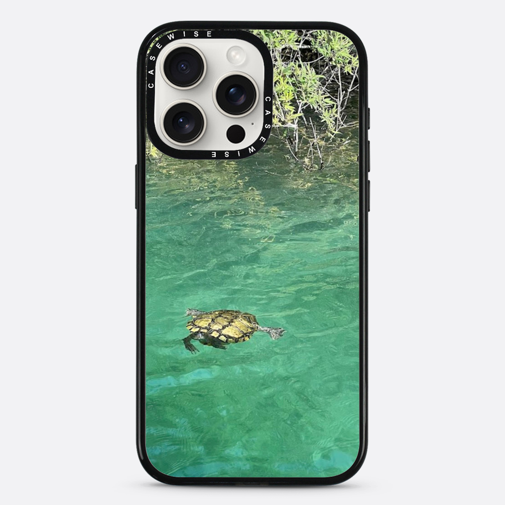 Gefrorene Blutschildkröte kournas - Hülle