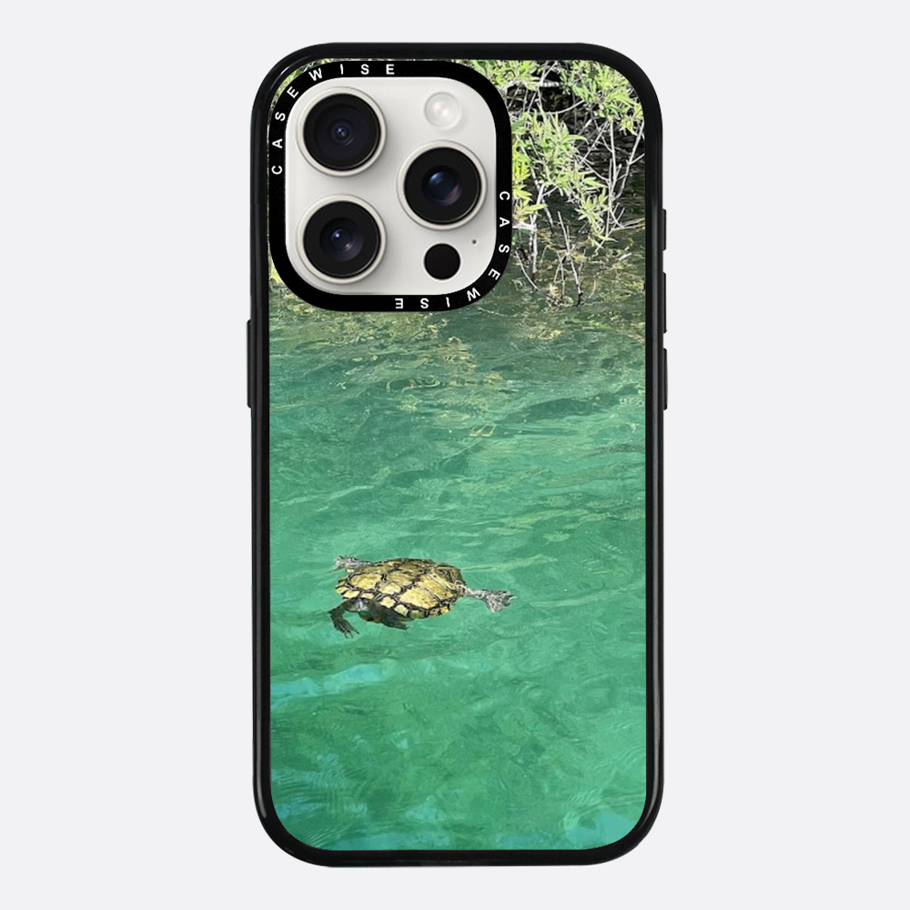 Gefrorene Blutschildkröte kournas - Hülle
