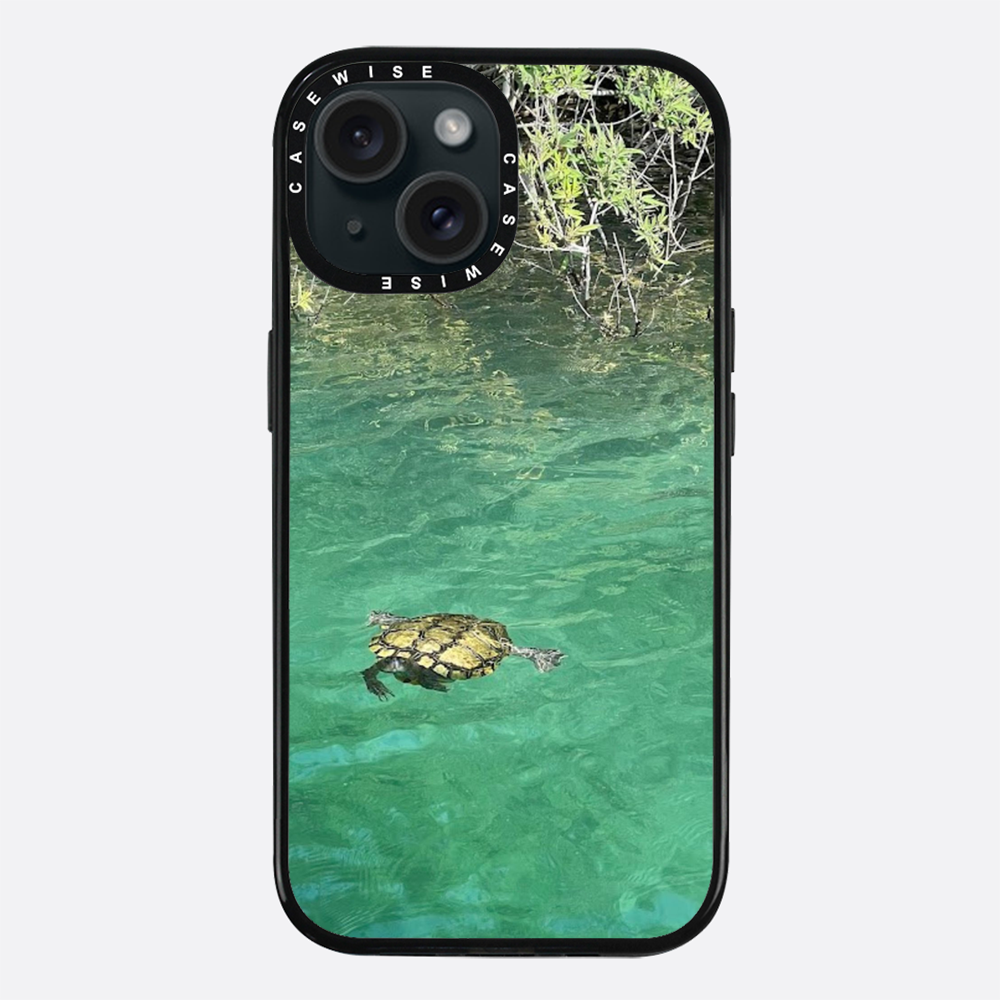 Gefrorene Blutschildkröte kournas - Hülle