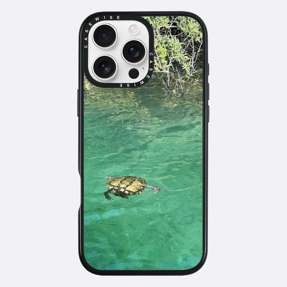 Gefrorene Blutschildkröte kournas - Hülle