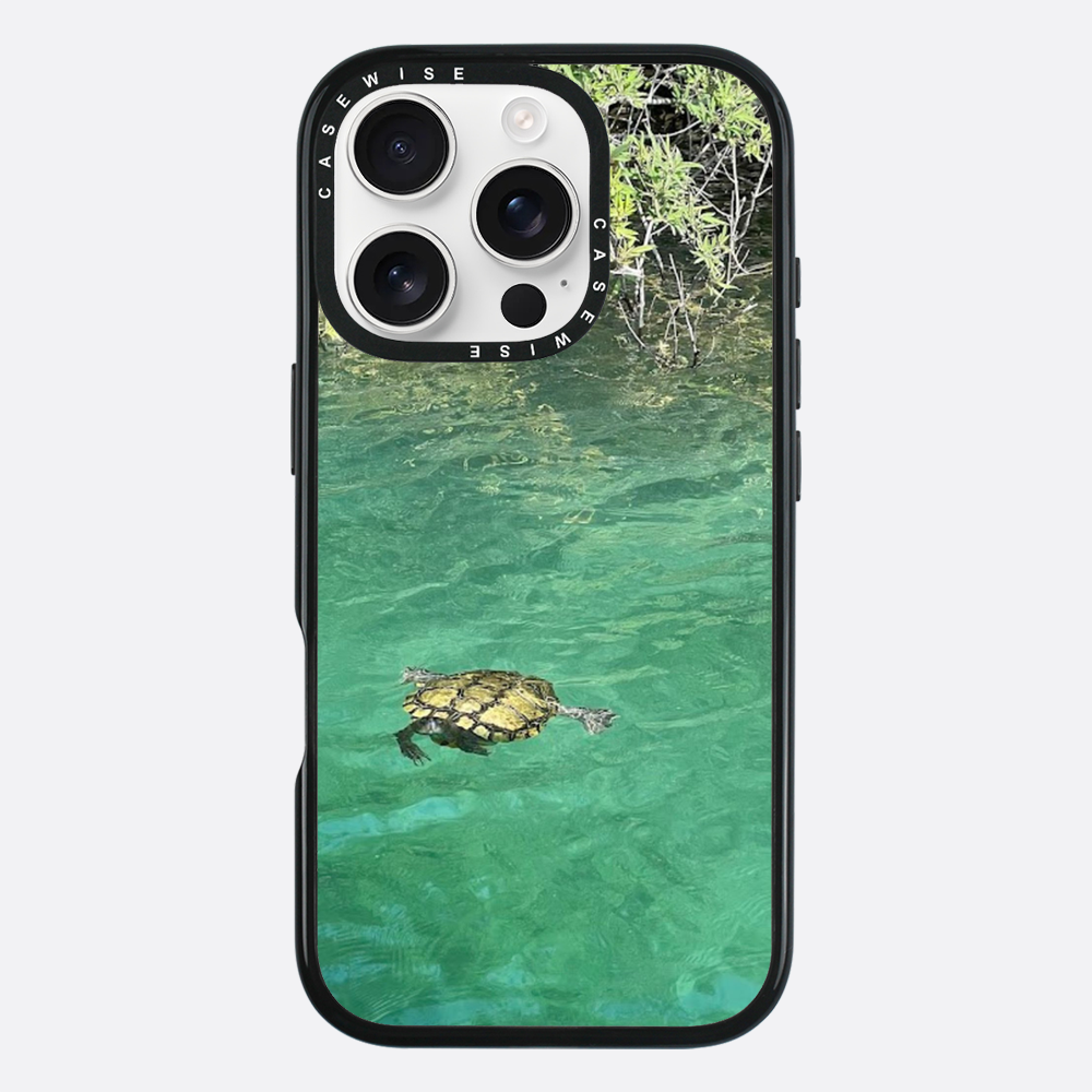 Gefrorene Blutschildkröte kournas - Hülle