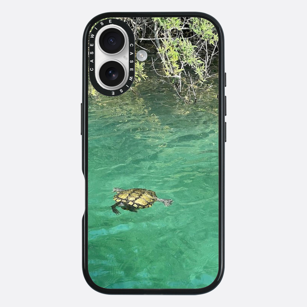 Gefrorene Blutschildkröte kournas - Hülle