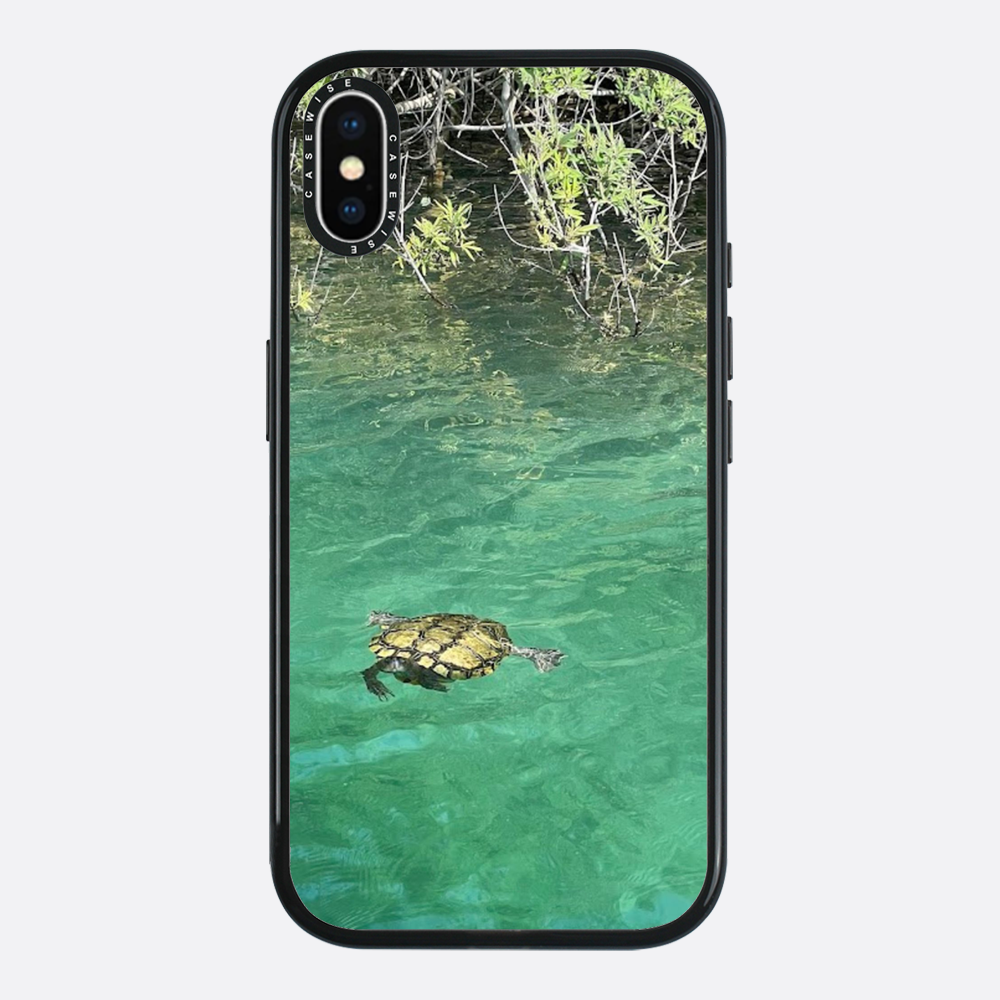 Gefrorene Blutschildkröte kournas - Hülle